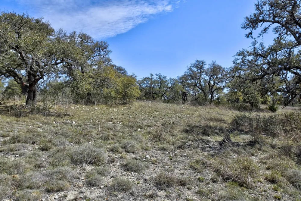 343 Cattle Creek Drive Johnson City, TX 78636