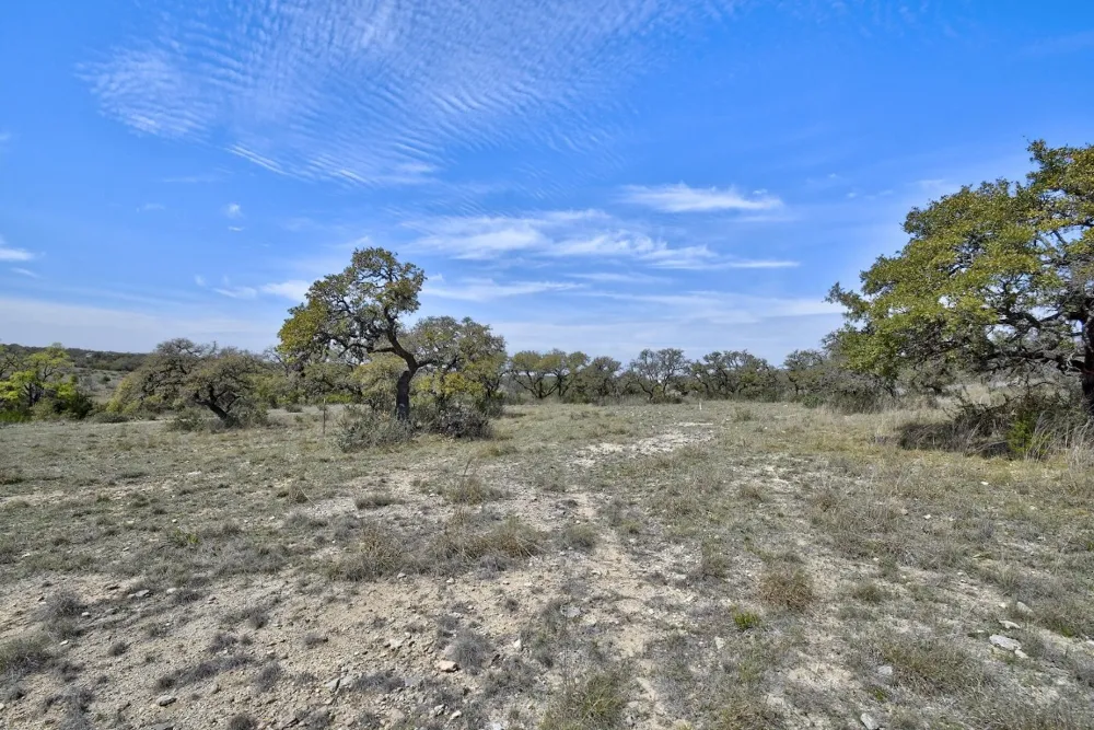 343 Cattle Creek Drive Johnson City, TX 78636