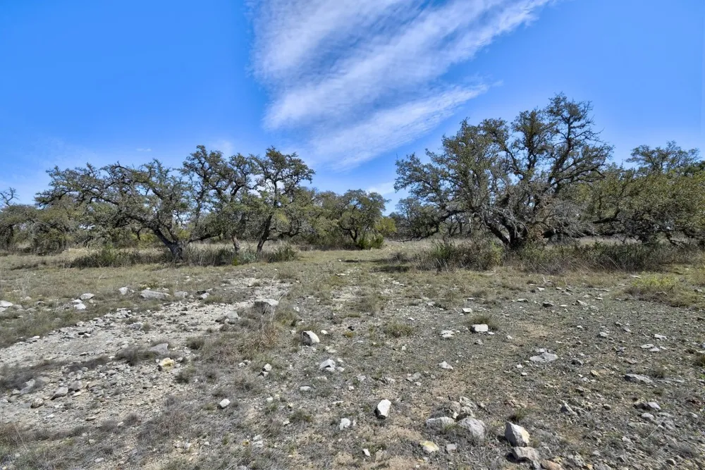343 Cattle Creek Drive Johnson City, TX 78636