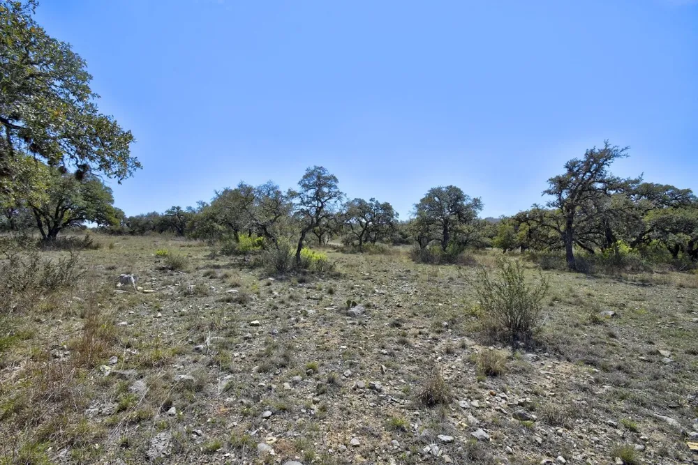 343 Cattle Creek Drive Johnson City, TX 78636