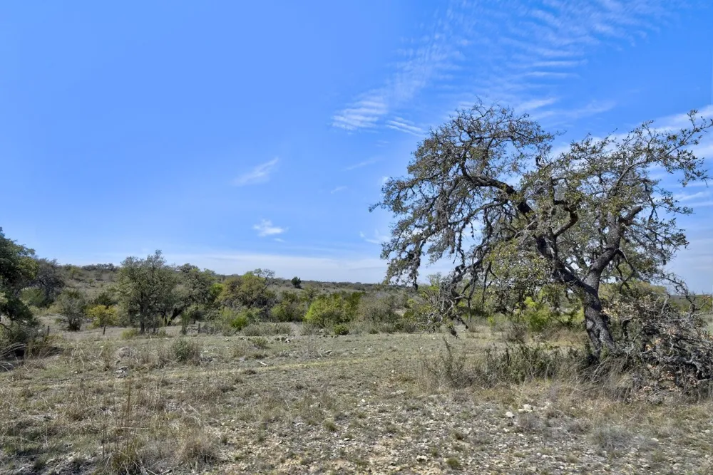 343 Cattle Creek Drive Johnson City, TX 78636
