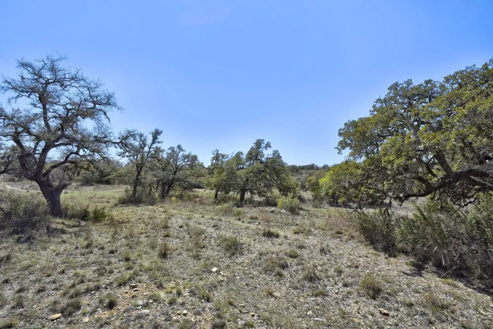 343 Cattle Creek Drive Johnson City, TX 78636
