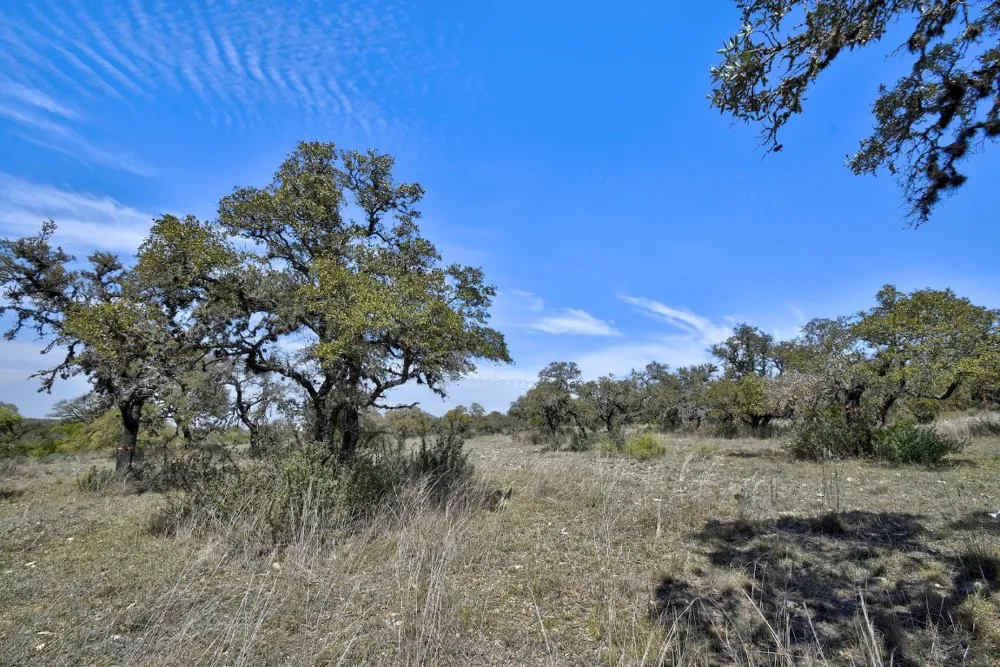 343 Cattle Creek Drive Johnson City, TX 78636