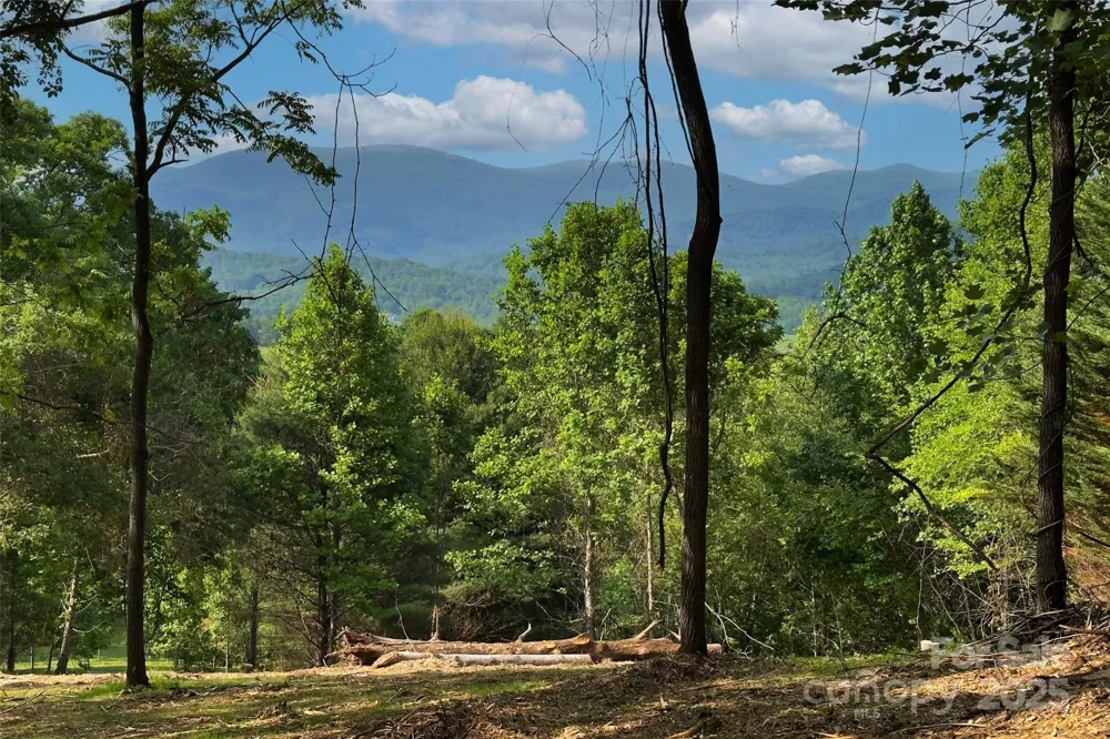 V/L Smith Knolls Road Fairview, NC 28730