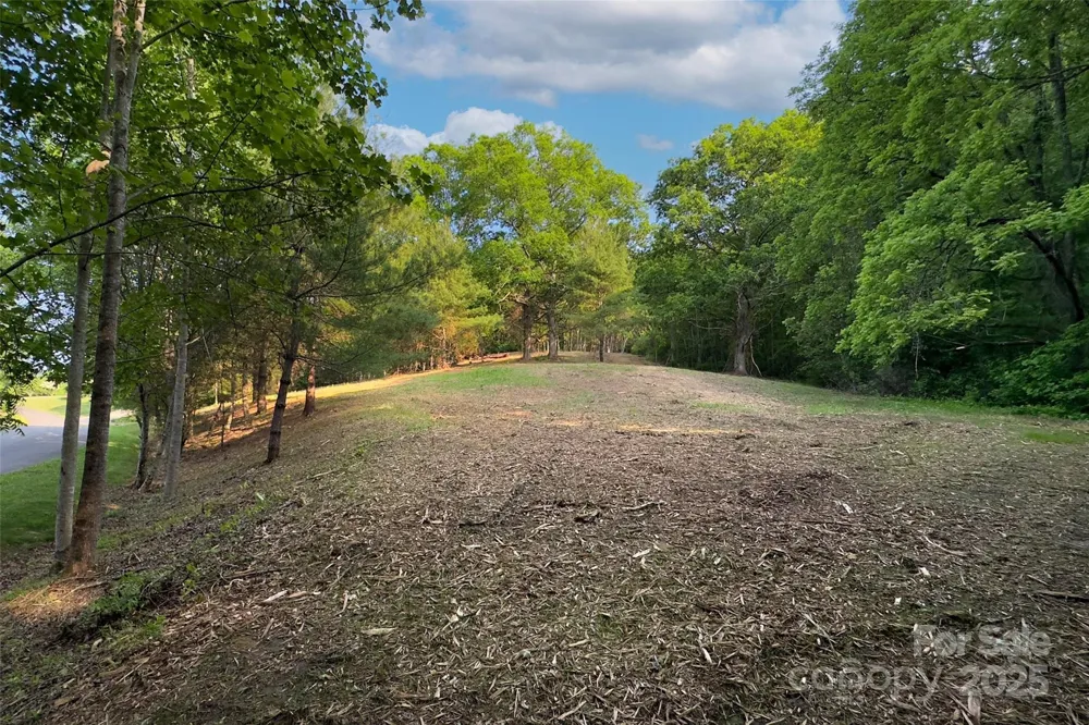 V/L Smith Knolls Road Fairview, NC 28730
