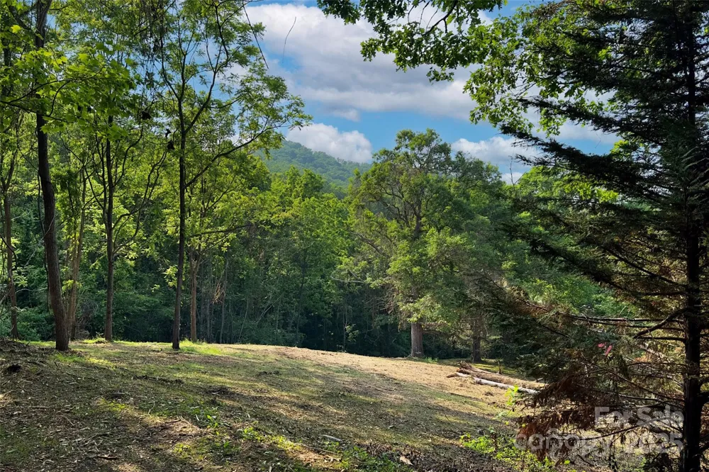 V/L Smith Knolls Road Fairview, NC 28730