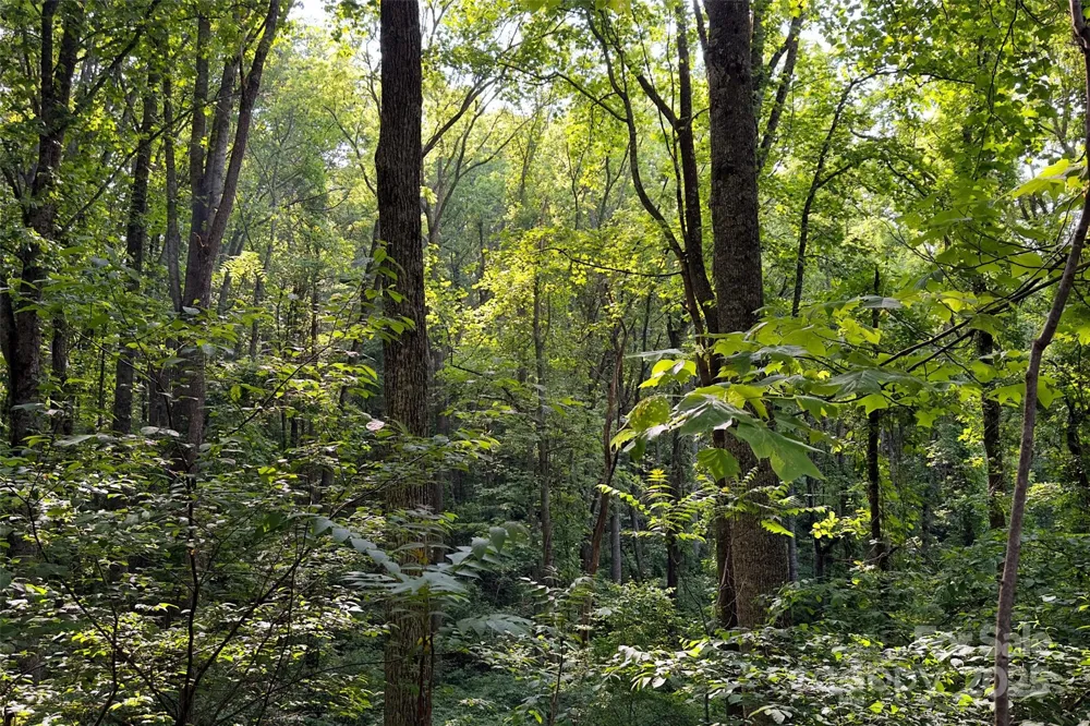 V/L Smith Knolls Road Fairview, NC 28730