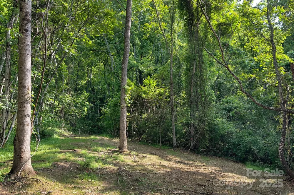 V/L Smith Knolls Road Fairview, NC 28730