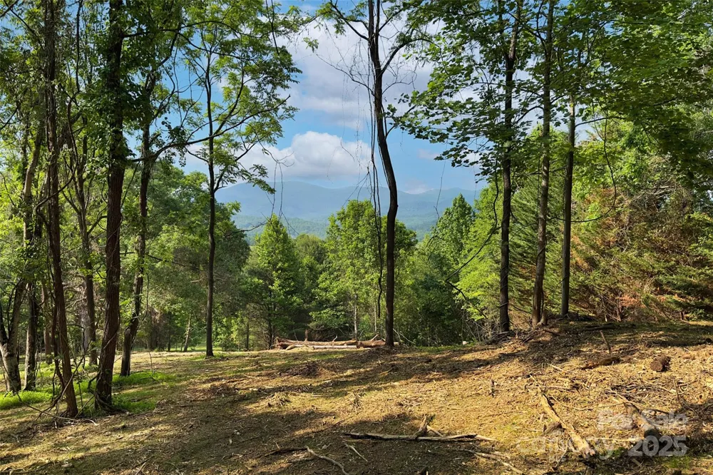 V/L Smith Knolls Road Fairview, NC 28730