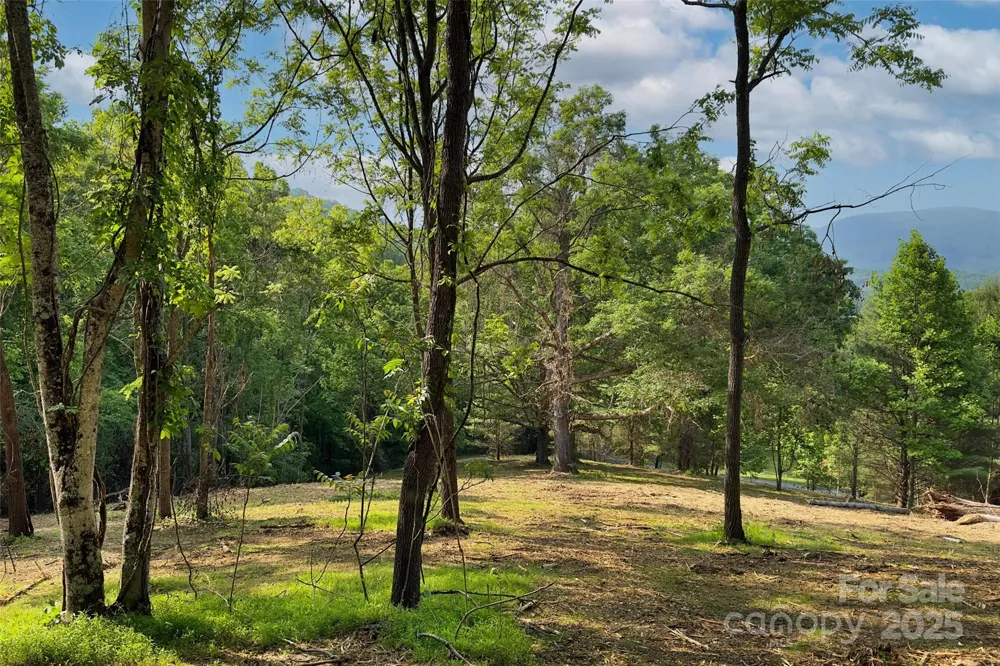 V/L Smith Knolls Road Fairview, NC 28730