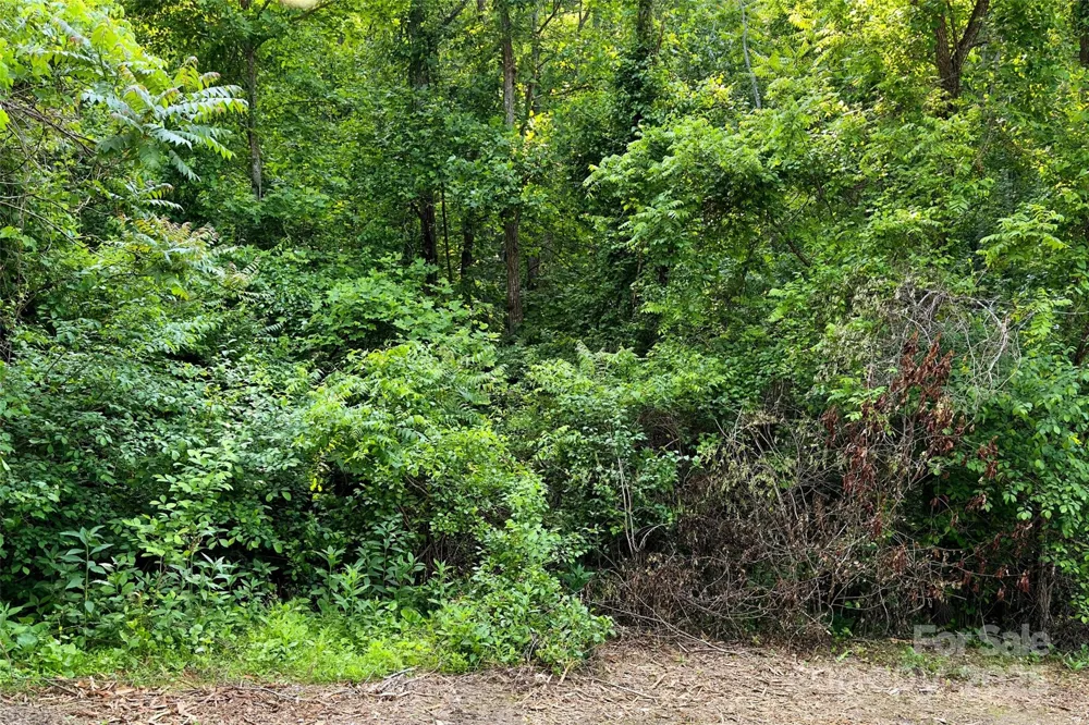 V/L Smith Knolls Road Fairview, NC 28730