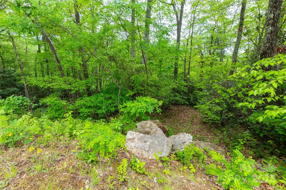 999 Mount Soma Boulevard Clyde, NC 28721
