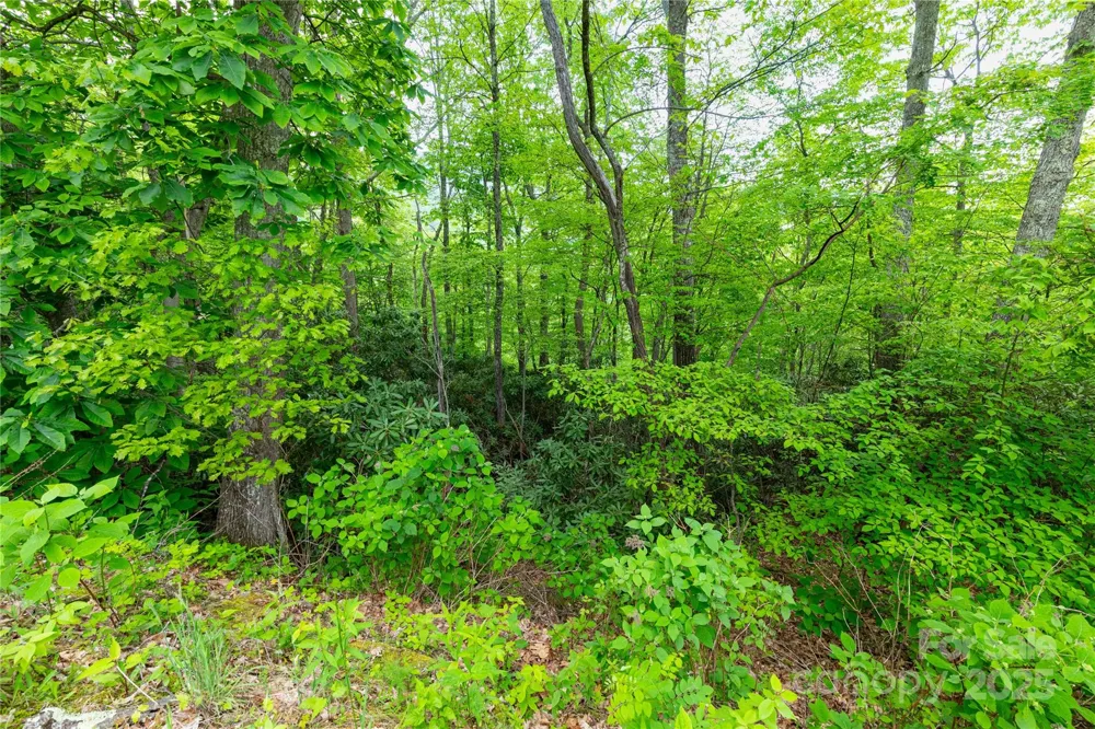 999 Mount Soma Boulevard Clyde, NC 28721