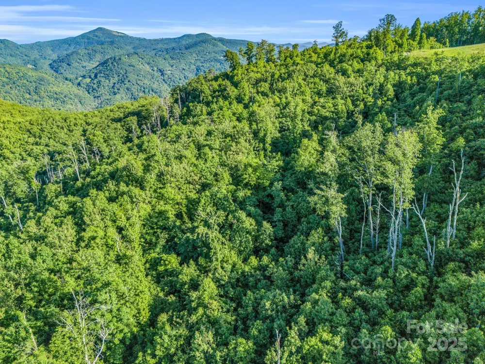 00 H and H Trail Bat Cave, NC 28710