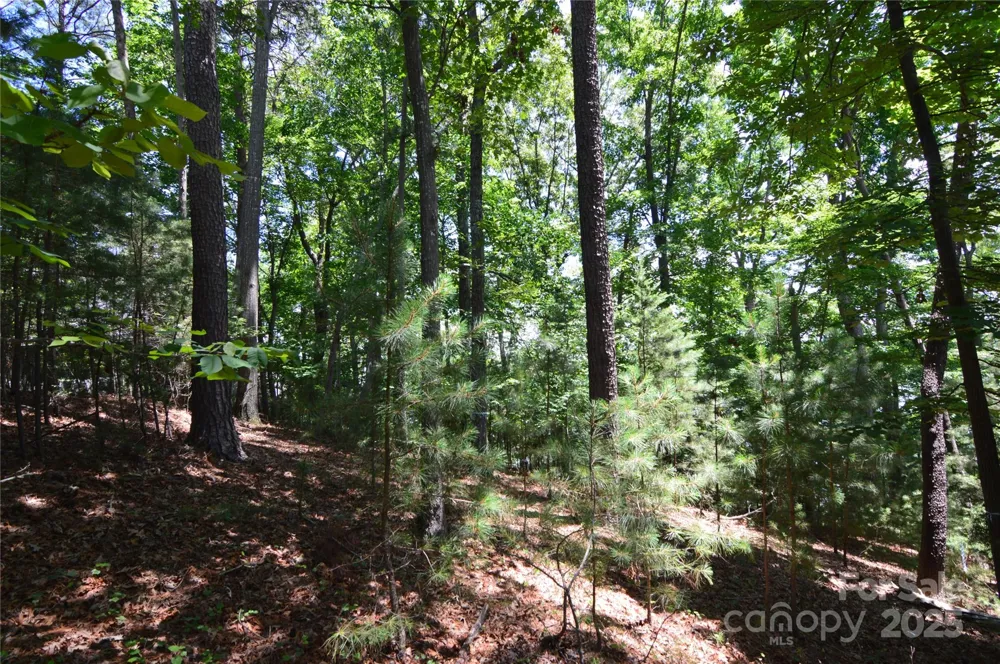 3223 Lake Pointe Drive #94 Belmont, NC 28012