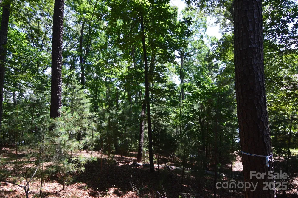 3223 Lake Pointe Drive #94 Belmont, NC 28012