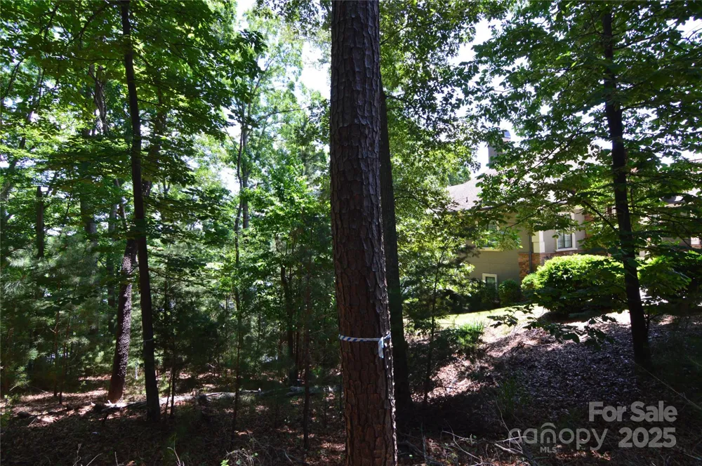 3223 Lake Pointe Drive #94 Belmont, NC 28012