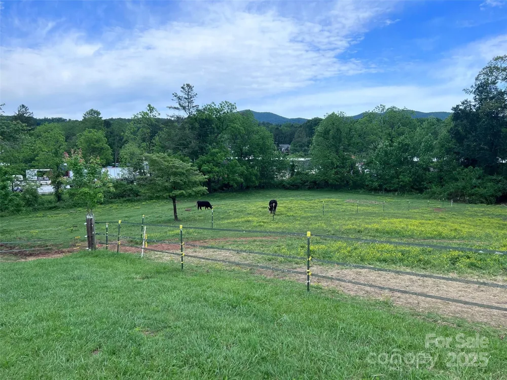 99999 Hamilton Drive Brevard, NC 28712