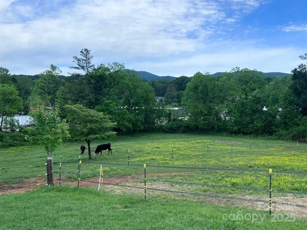 99999 Hamilton Drive Brevard, NC 28712