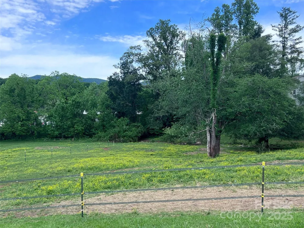 99999 Hamilton Drive Brevard, NC 28712