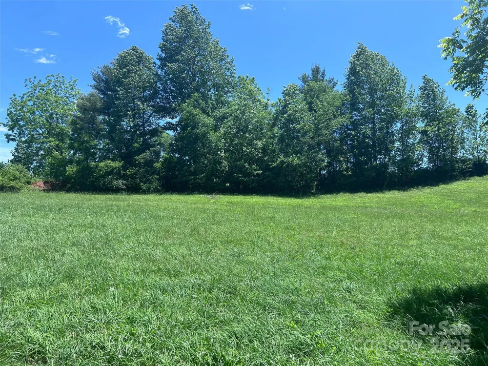 99999 Goodwin Lane Brevard, NC 28712