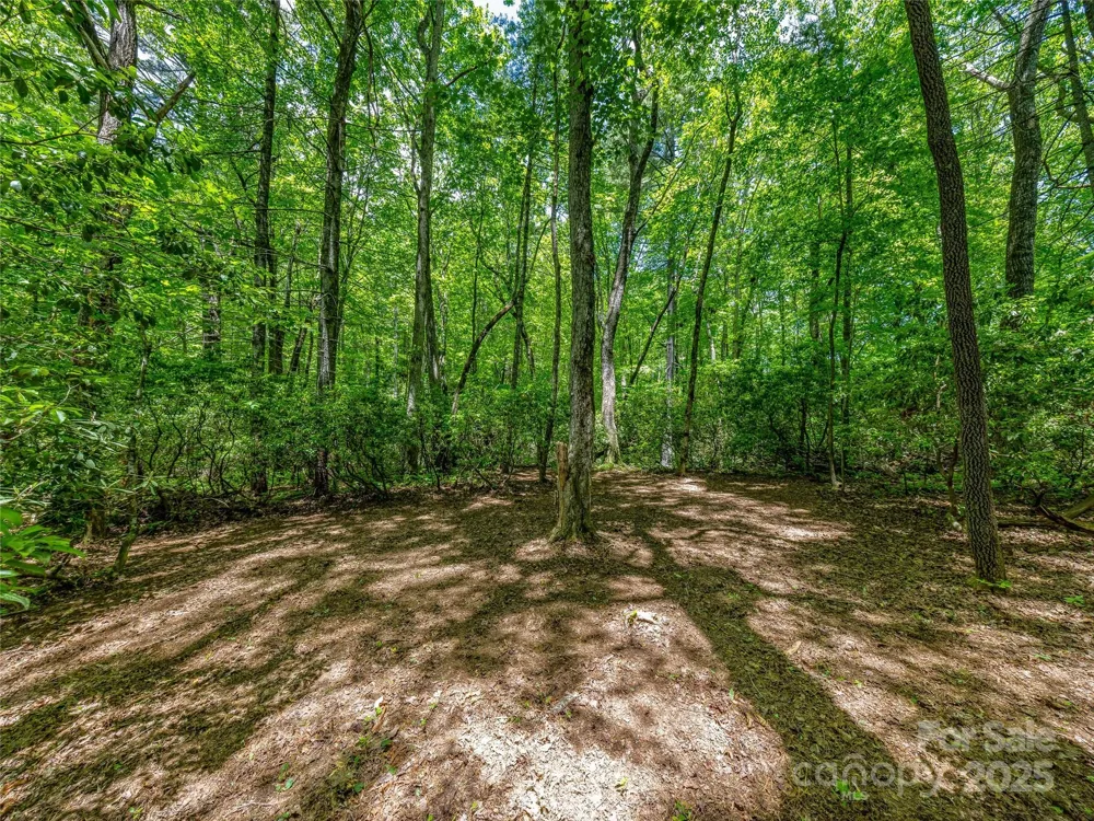 J 33 Cherokee Point Lake Toxaway, NC 28747