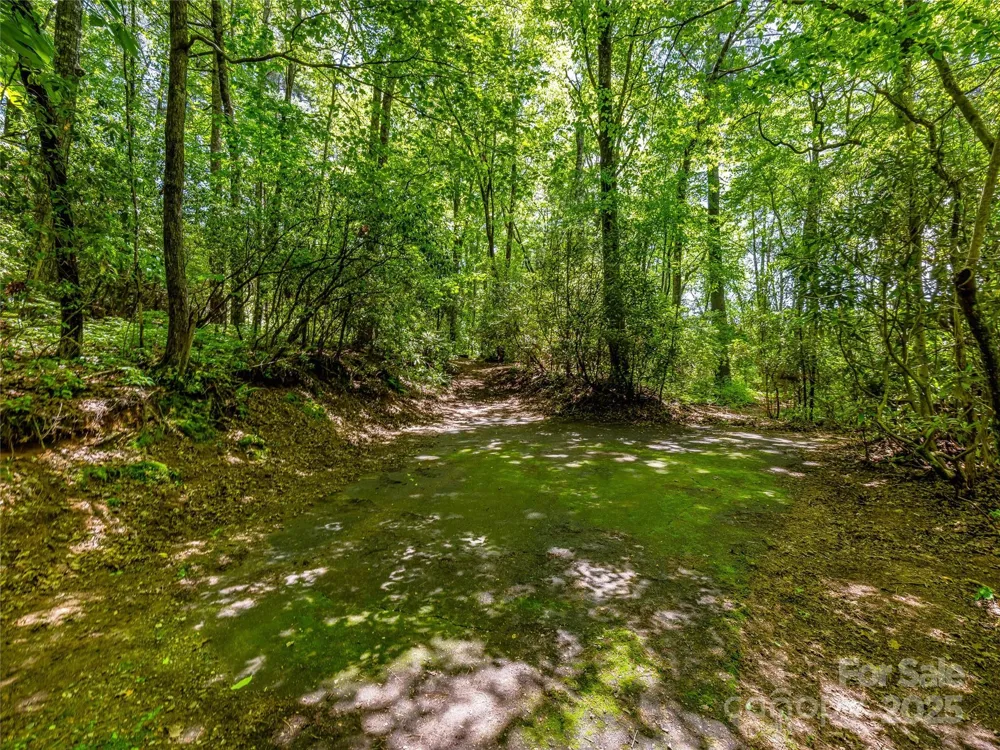 J 33 Cherokee Point Lake Toxaway, NC 28747