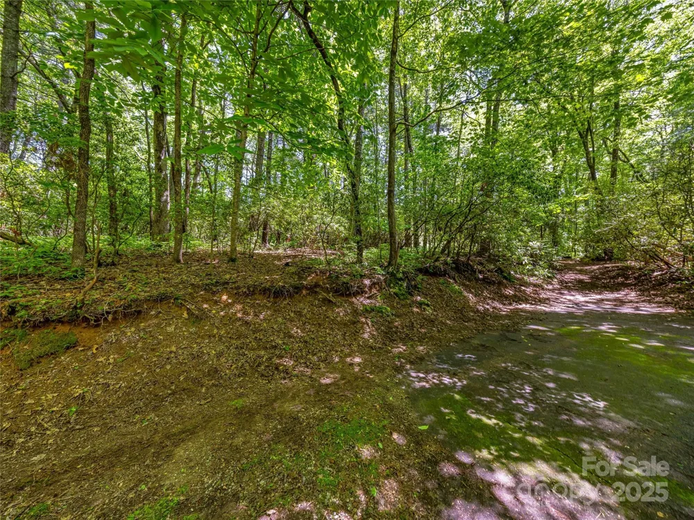 J 33 Cherokee Point Lake Toxaway, NC 28747