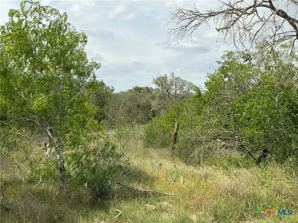 1066 Robertson Road Smiley, TX 78159