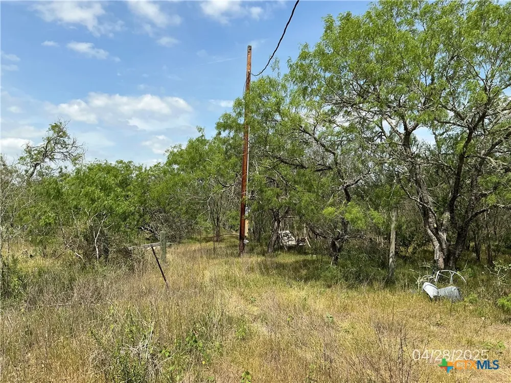 1066 Robertson Road Smiley, TX 78159