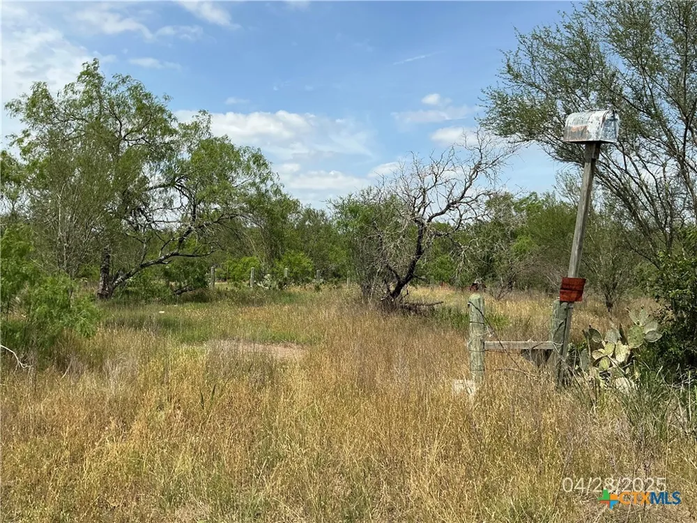 1066 Robertson Road Smiley, TX 78159