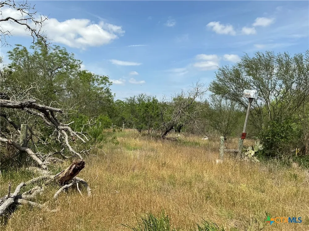 1066 Robertson Road Smiley, TX 78159