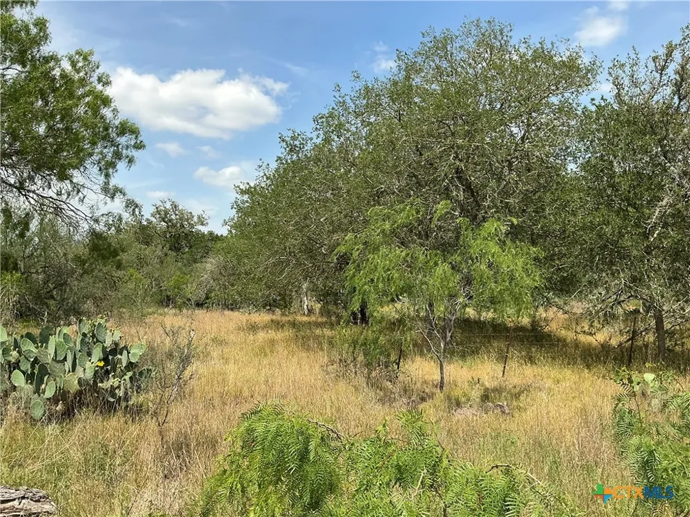 1066 Robertson Road Smiley, TX 78159