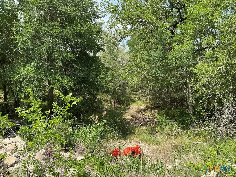 1066 Robertson Road Smiley, TX 78159