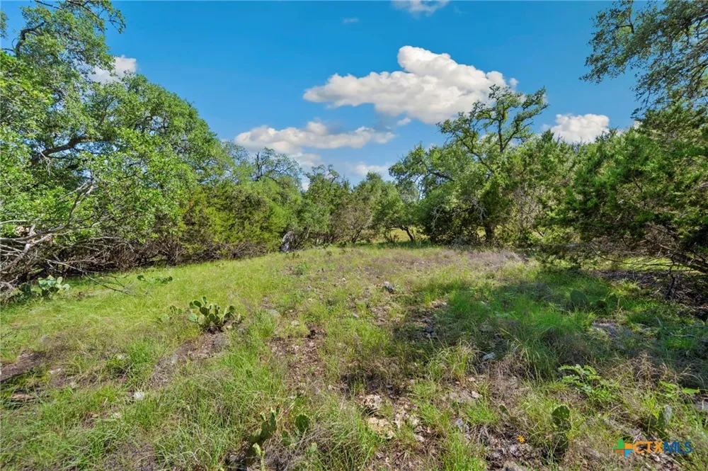 TBD New Braunfels, TX 78132