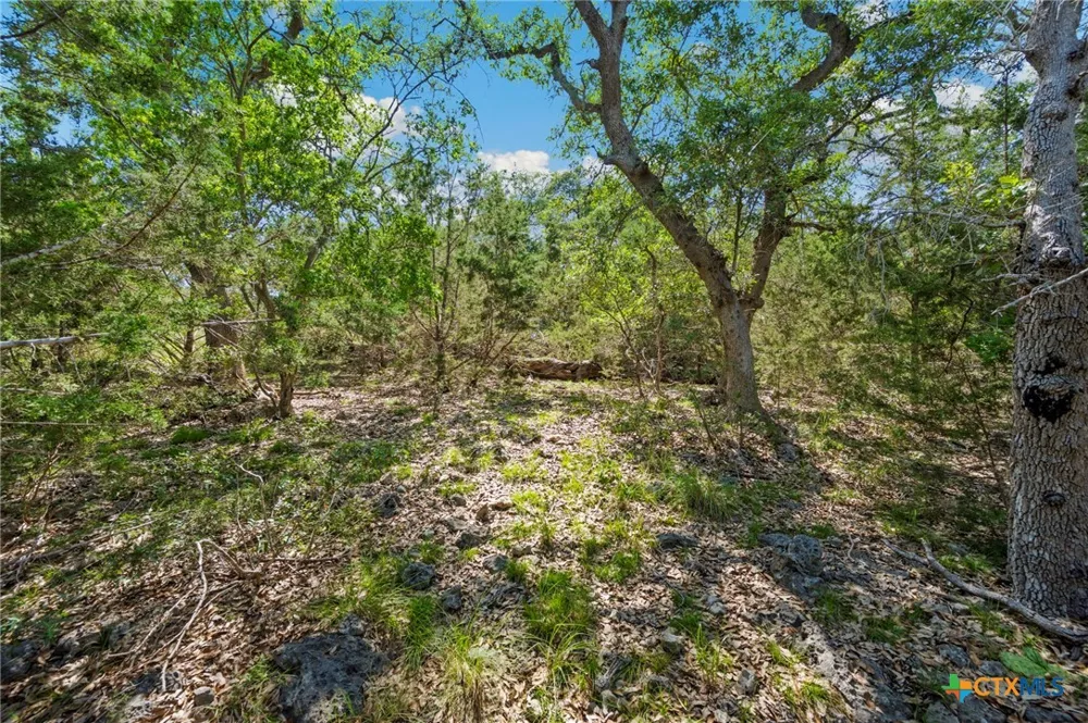 TBD New Braunfels, TX 78132