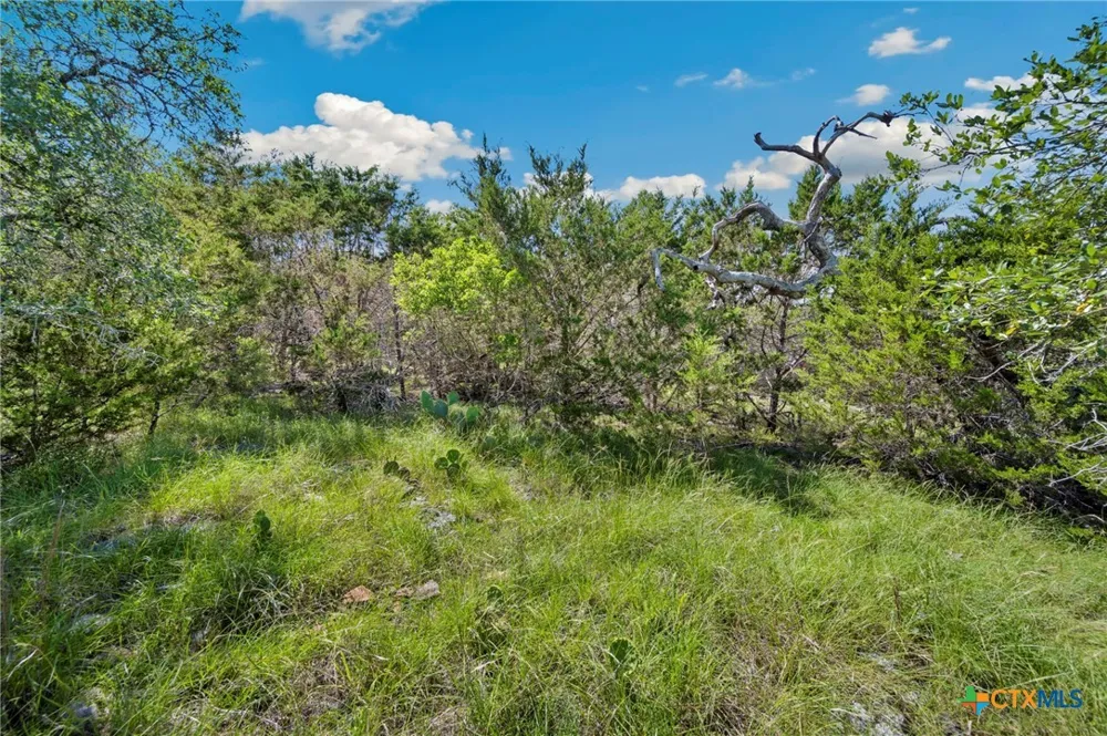 TBD New Braunfels, TX 78132