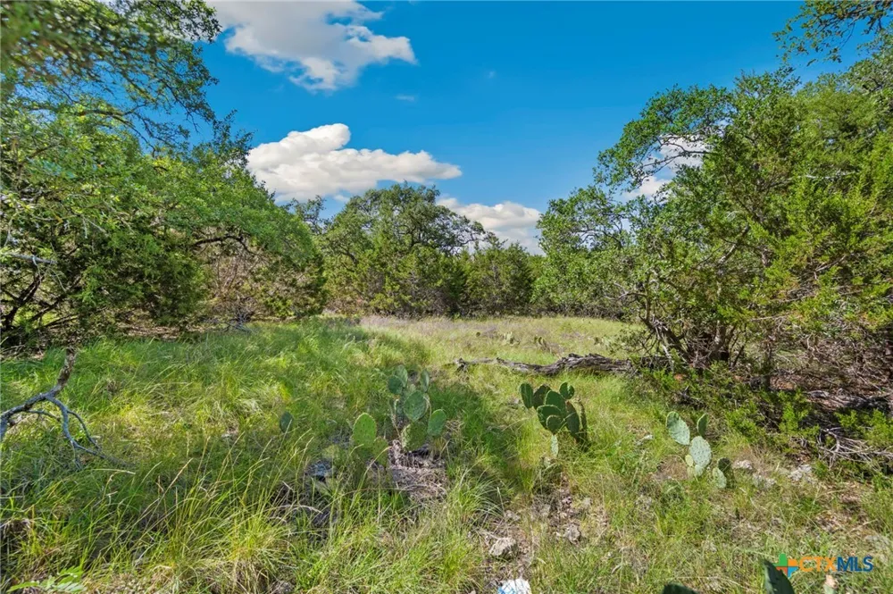 TBD New Braunfels, TX 78132