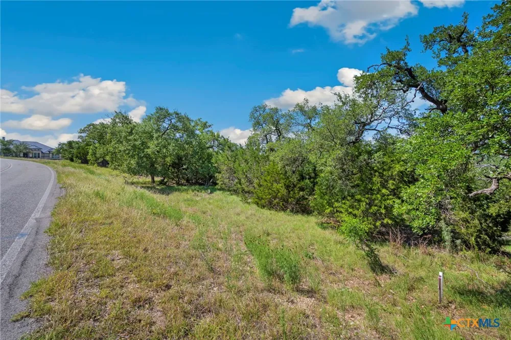 TBD New Braunfels, TX 78132