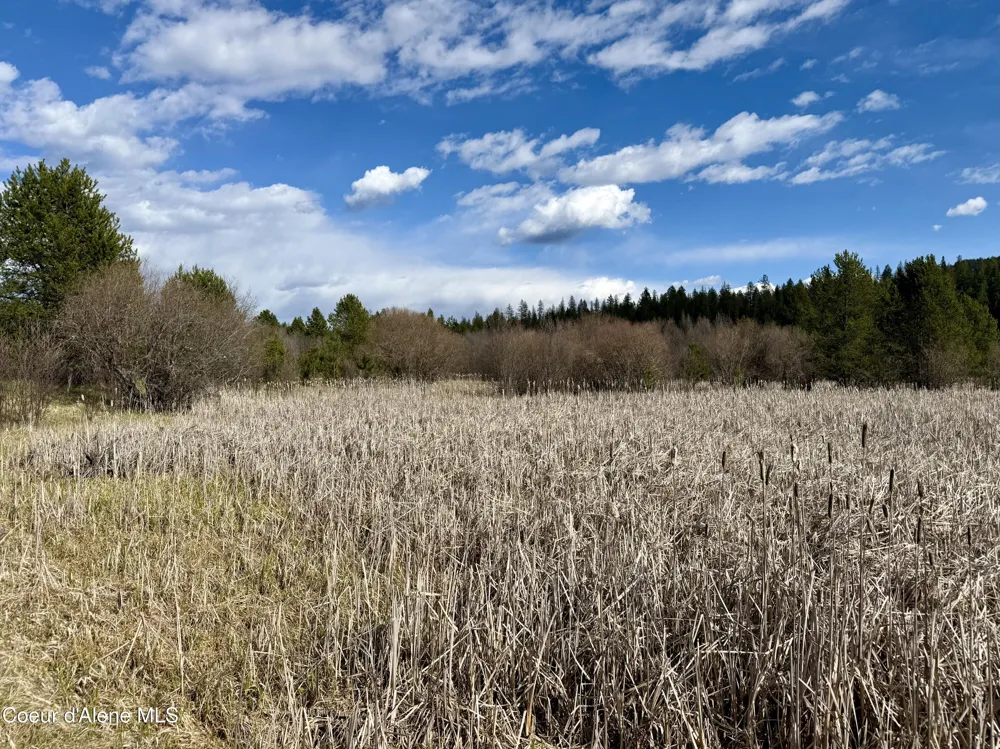 3216 Dufort Road Sagle, ID 83860
