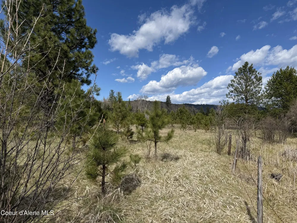 3216 Dufort Road Sagle, ID 83860