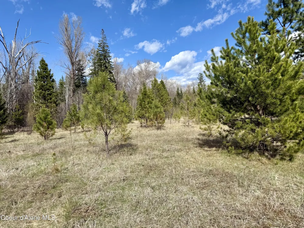 3216 Dufort Road Sagle, ID 83860