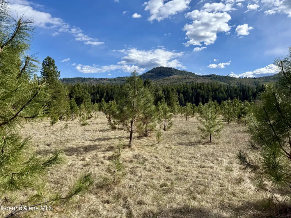 3216 Dufort Road Sagle, ID 83860