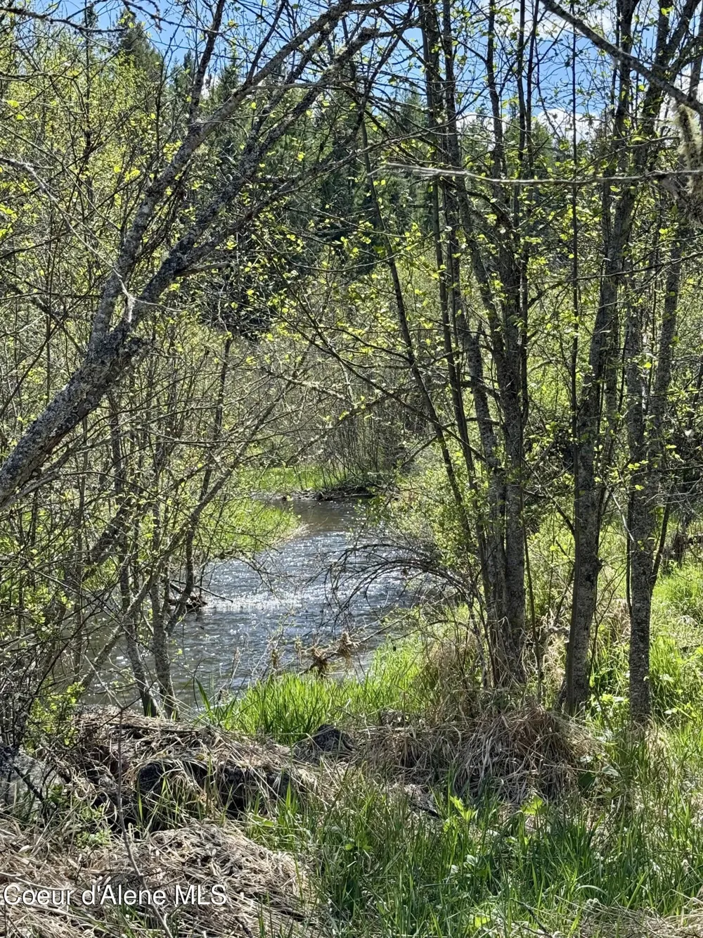 3216 Dufort Road Sagle, ID 83860