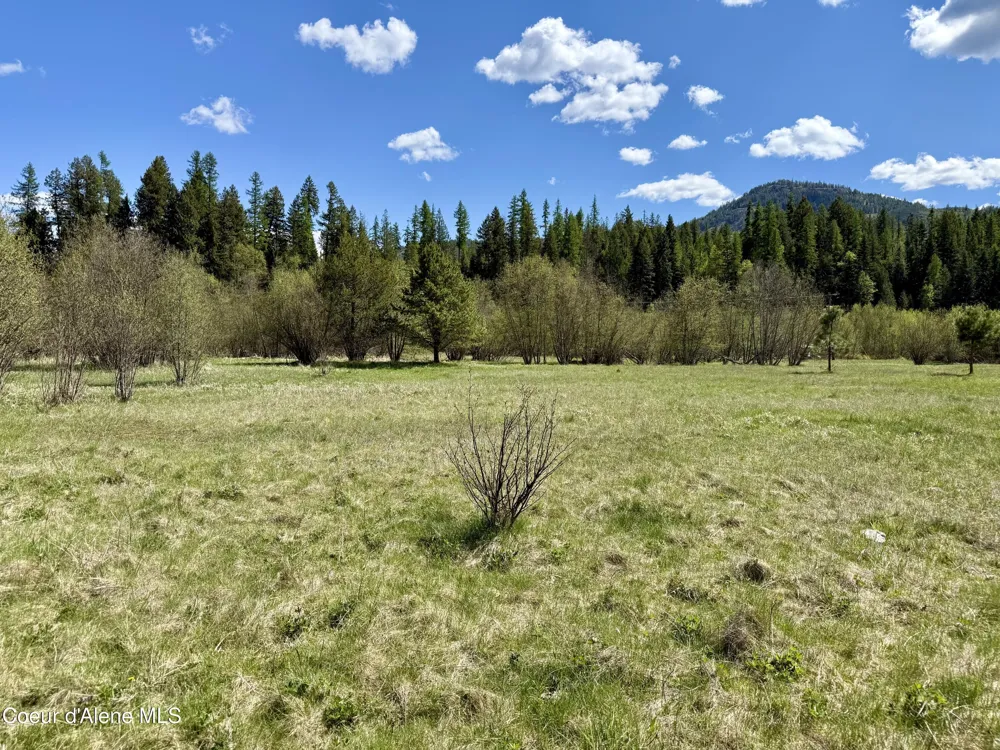 3216 Dufort Road Sagle, ID 83860