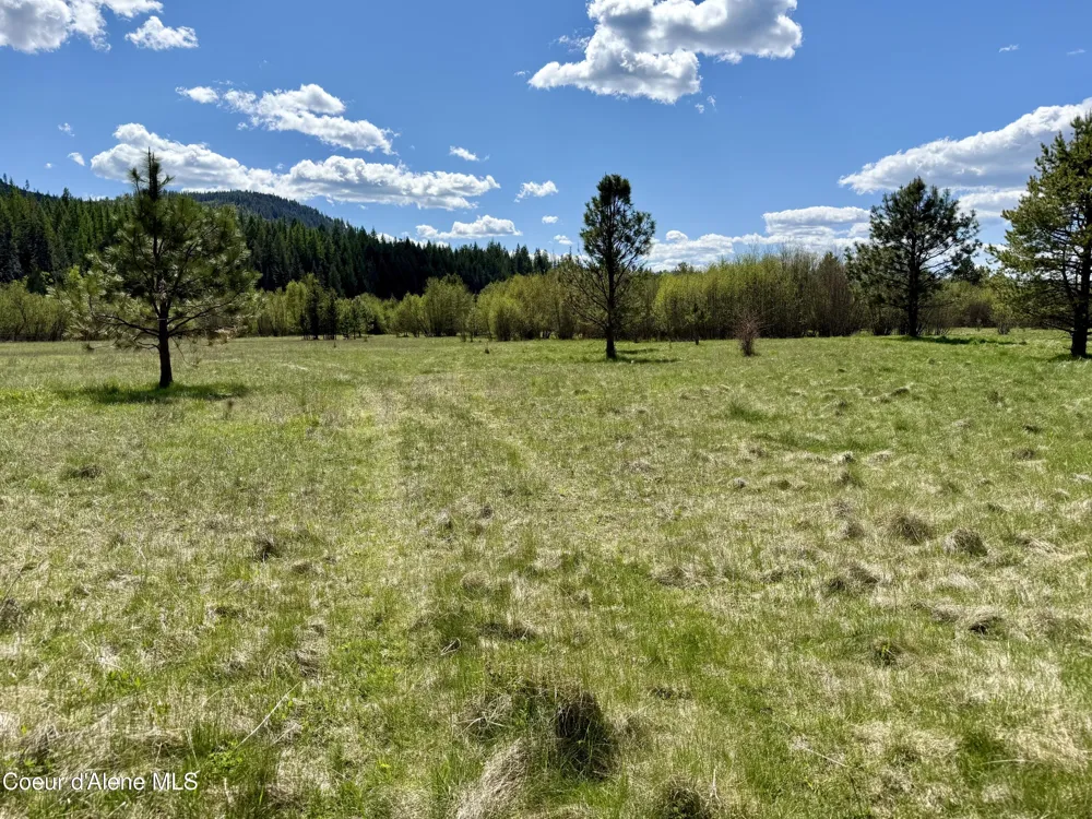 3216 Dufort Road Sagle, ID 83860