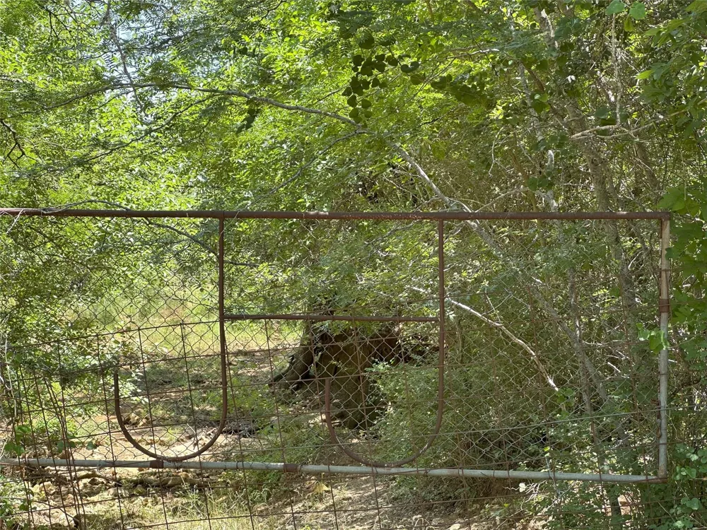 8110 N Hwy 77 Lexington, TX 78947