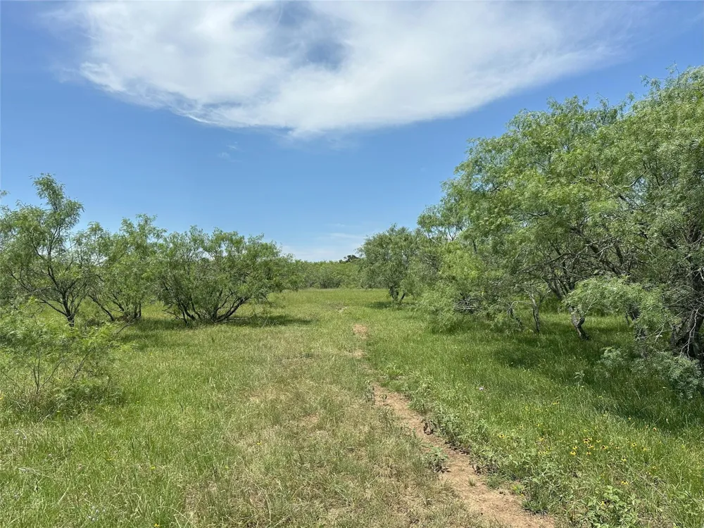 8110 N Hwy 77 Lexington, TX 78947