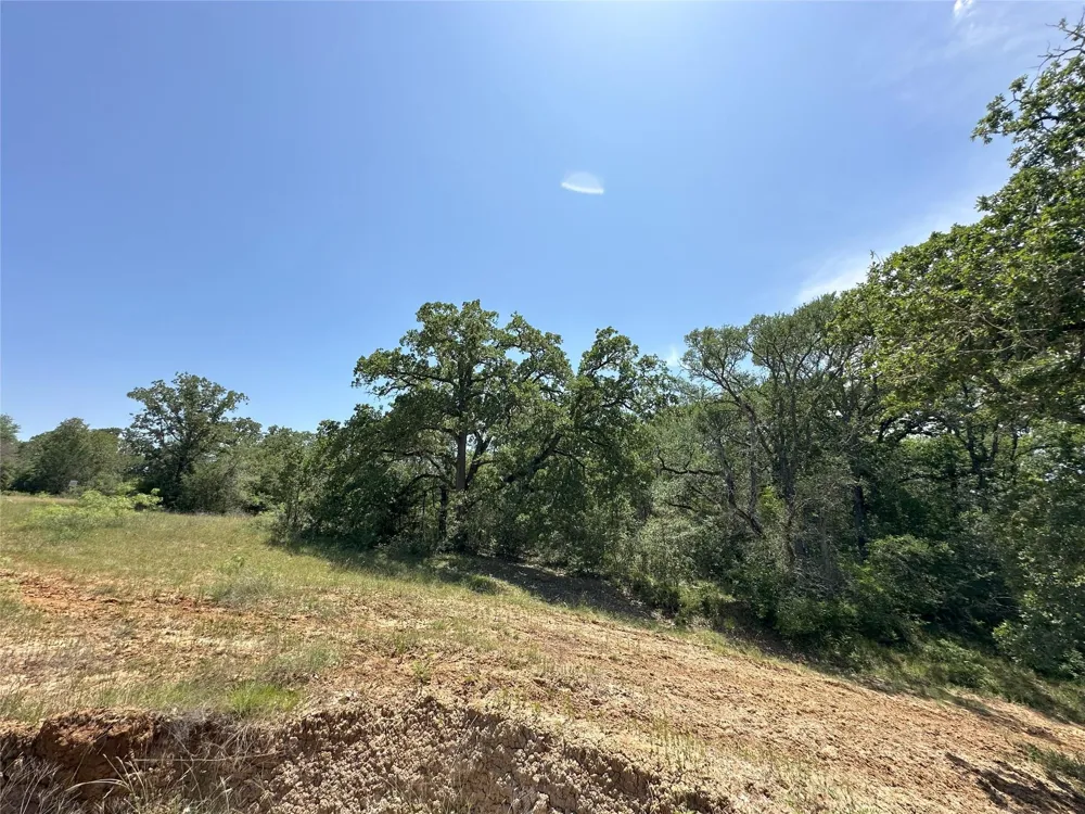 8110 N Hwy 77 Lexington, TX 78947