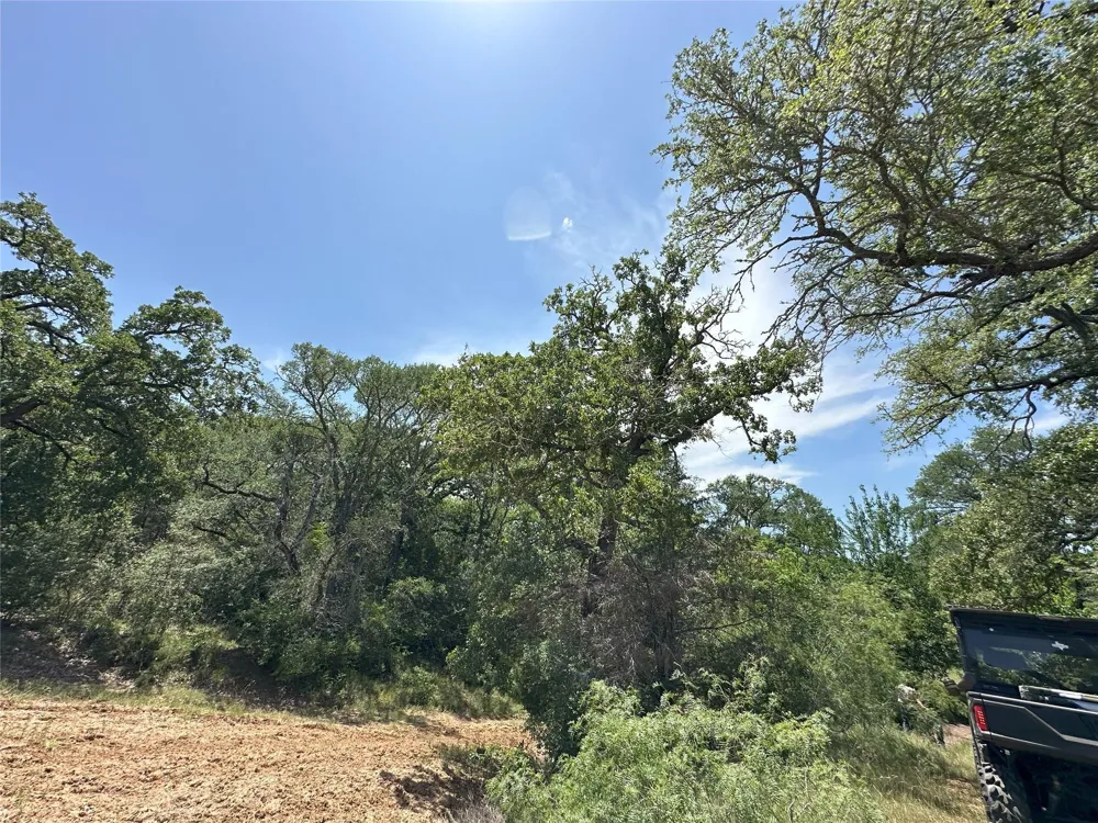 8110 N Hwy 77 Lexington, TX 78947